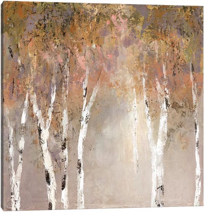 Sunlit Birch II Canvas Art Print - Birch Tree Art