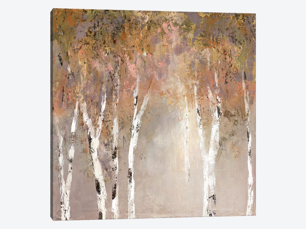 Sunlit Birch II by Carol Robinson 1-piece Art Print