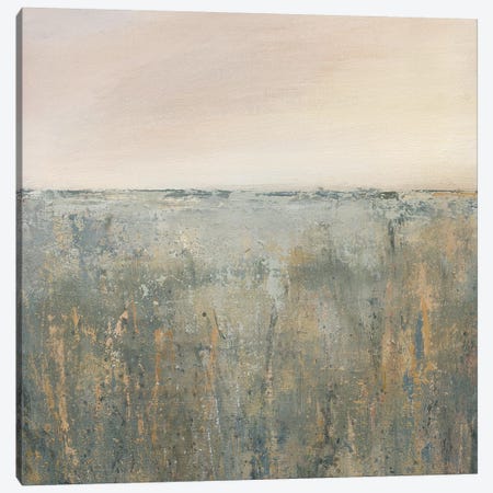 Sunset Marsh Canvas Print #CRO552} by Carol Robinson Art Print