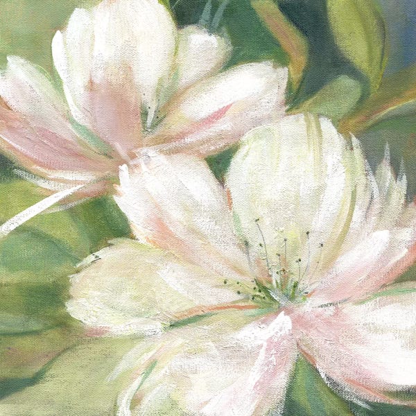 Hibiscuses: Tropic Promise I by Carol Robinson