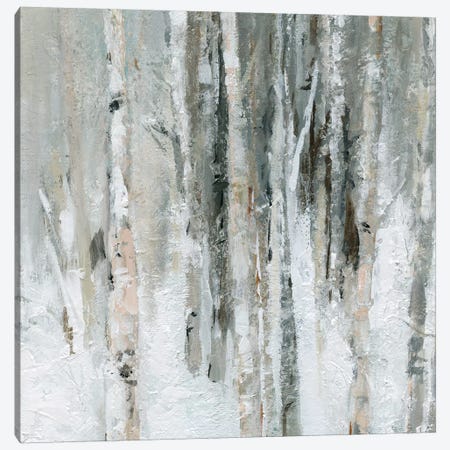 Birch Blush I Canvas Print #CRO568} by Carol Robinson Canvas Artwork