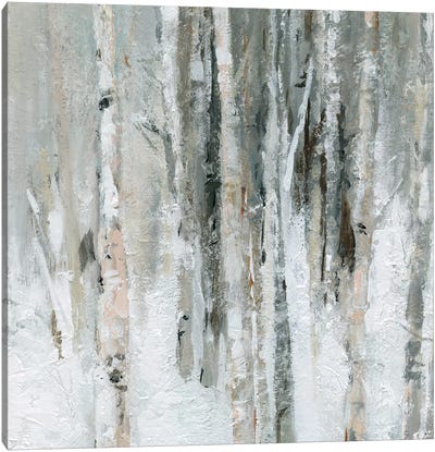 Birch Blush I Canvas Art Print - Birch Tree Art
