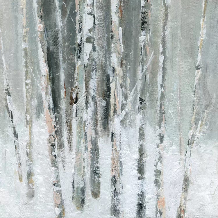 Birch Blush II