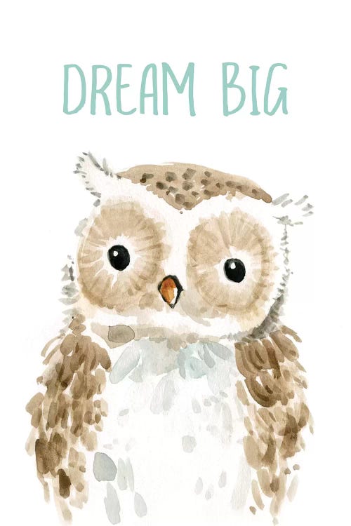 Dream Big Owl