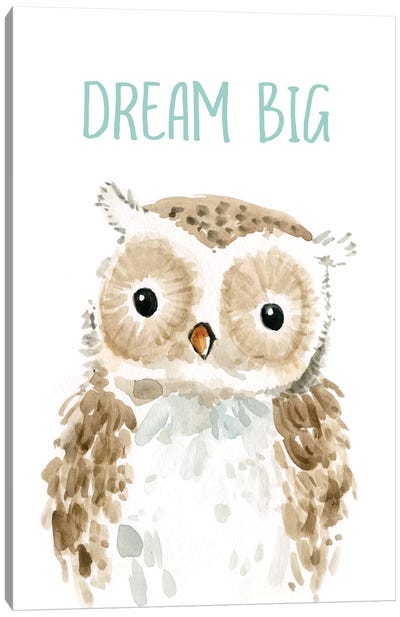 Dream Big Owl Canvas Art Print - Owl Art