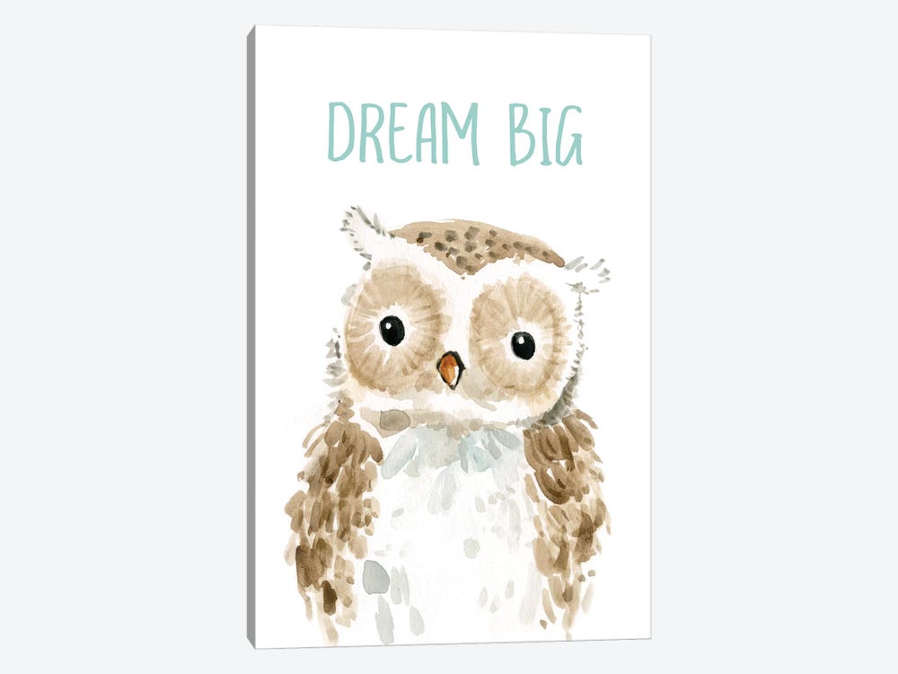 Dream Big Owl by Carol Robinson 1-piece Canvas Wall Art
