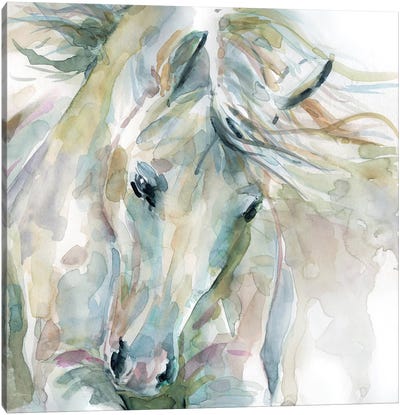 Exuberant Spirit Canvas Art Print - Horses