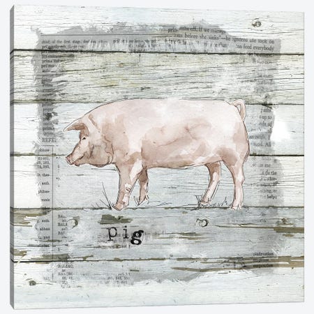 Farmhouse Collage Pig Canvas Print #CRO592} by Carol Robinson Art Print