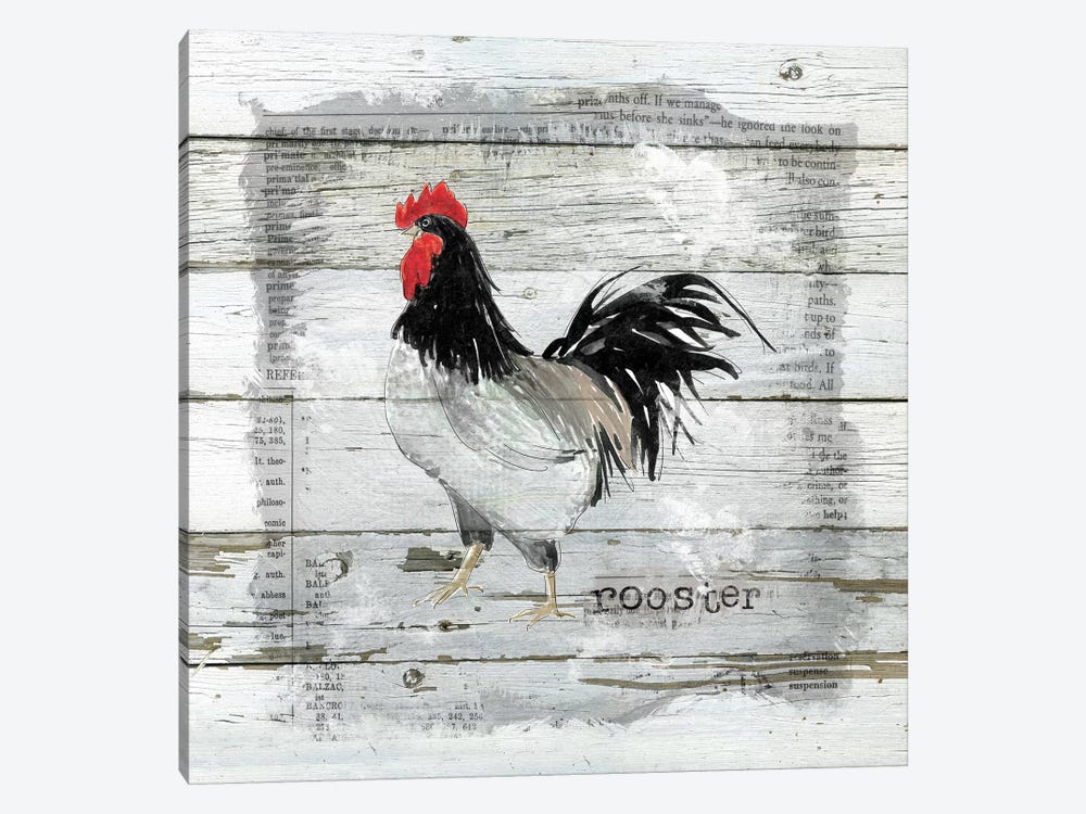 Farmhouse Collage Rooster by Carol Robinson 1-piece Canvas Print