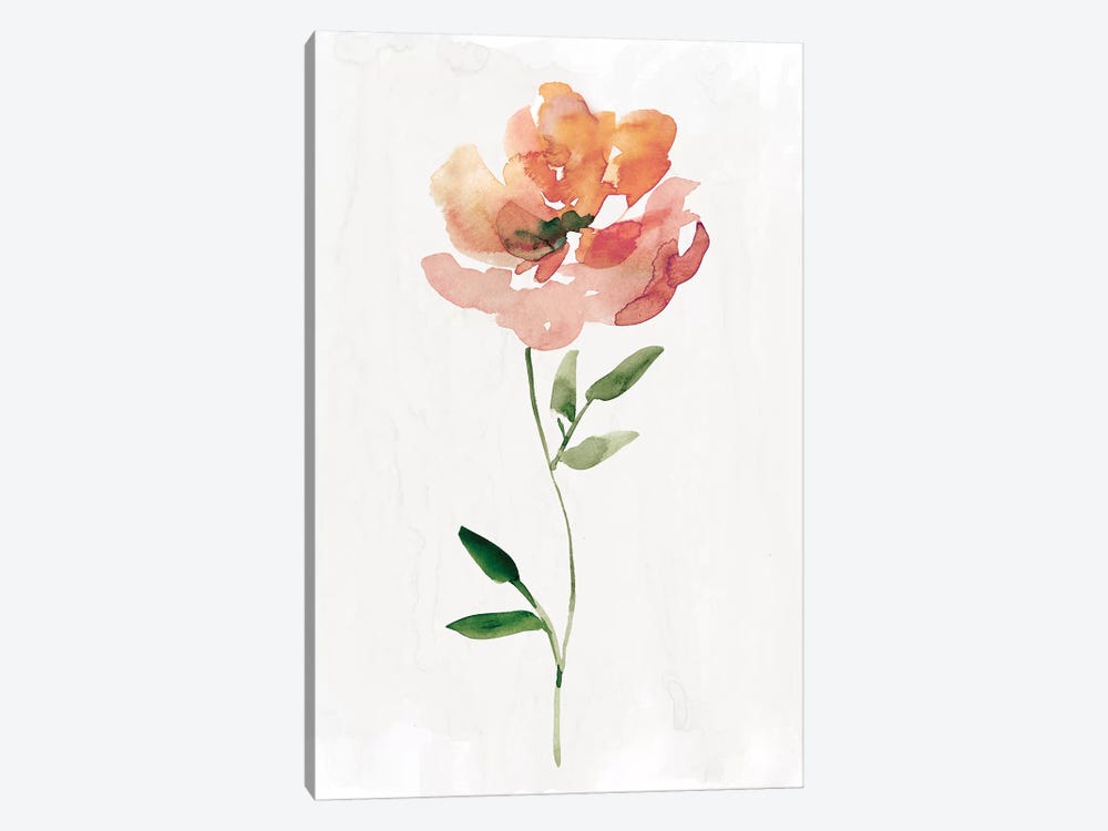 Happy Bloom I by Carol Robinson 1-piece Canvas Wall Art