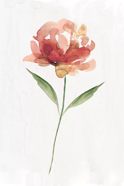 Happy Bloom II by Carol Robinson canvas print