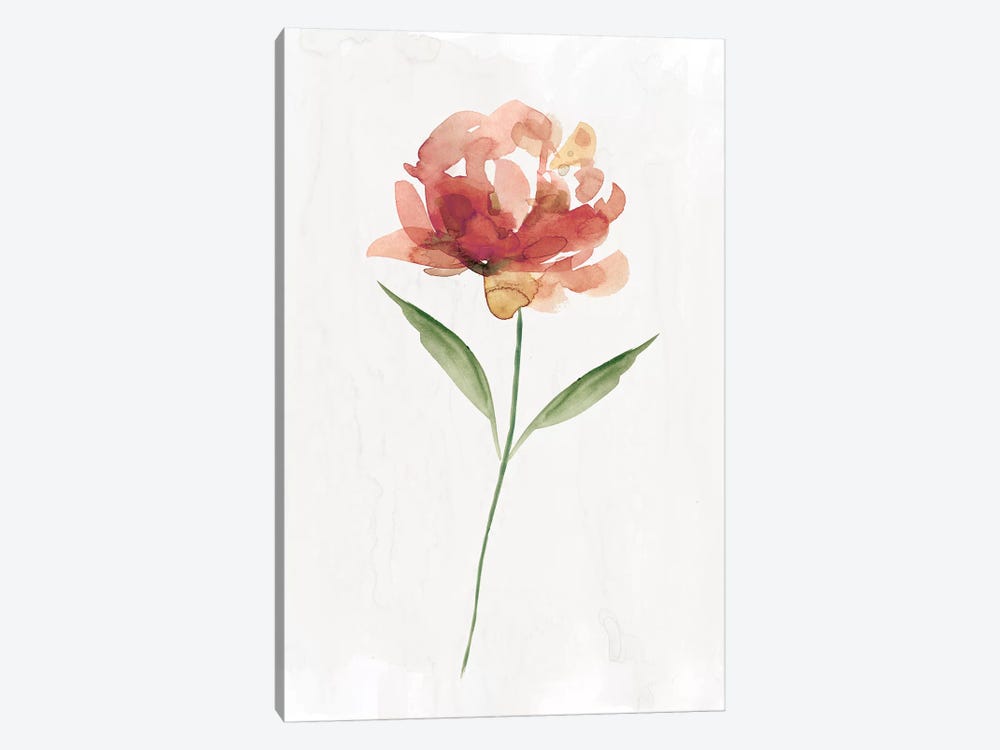 Happy Bloom II by Carol Robinson 1-piece Canvas Wall Art