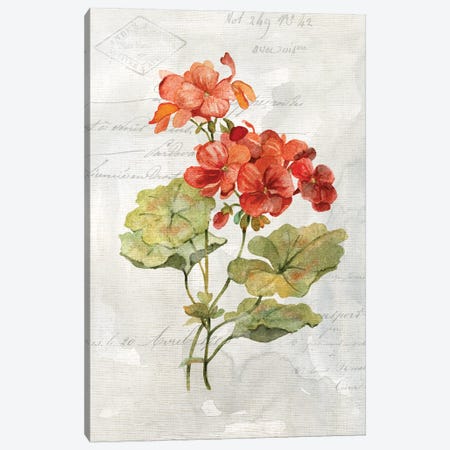 Linen Geranium Canvas Print #CRO616} by Carol Robinson Canvas Print
