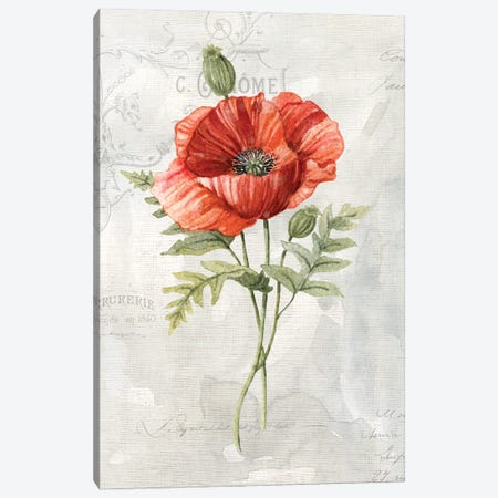 Linen Poppy Canvas Print #CRO618} by Carol Robinson Canvas Art
