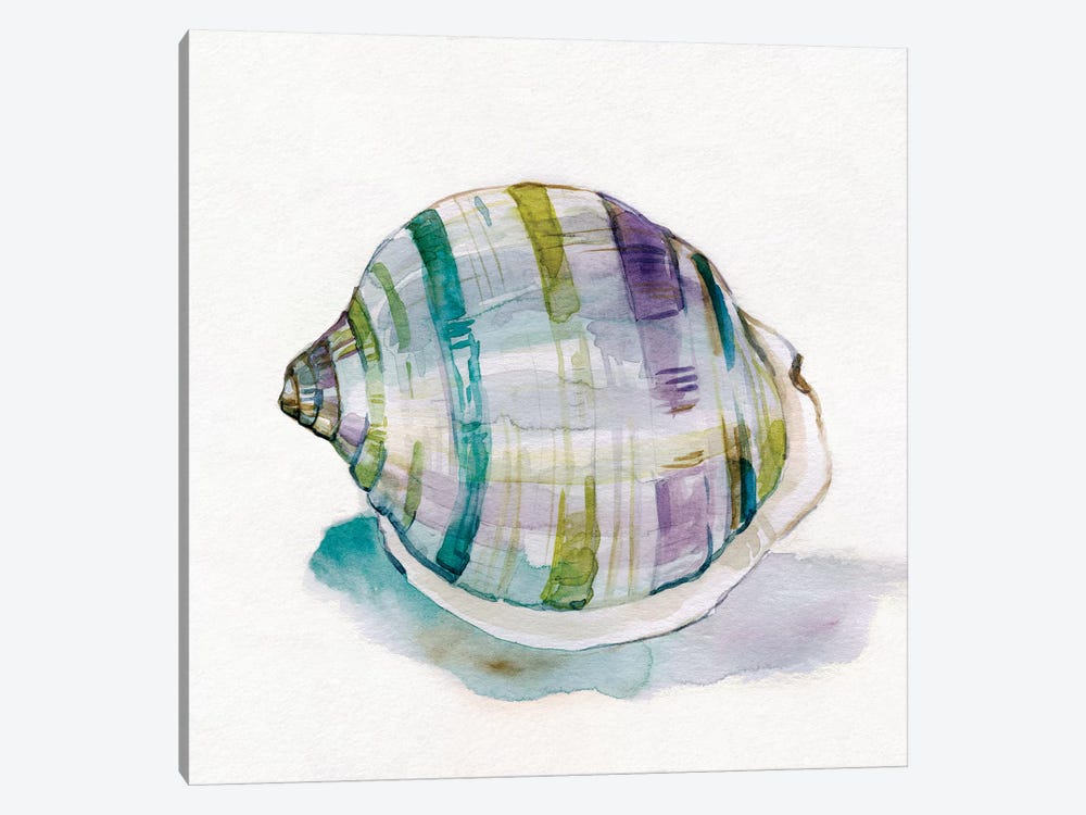 Malecon Shell III by Carol Robinson 1-piece Art Print