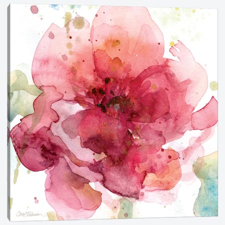 Bold Blush I Canvas Print #CRO63} by Carol Robinson Canvas Artwork