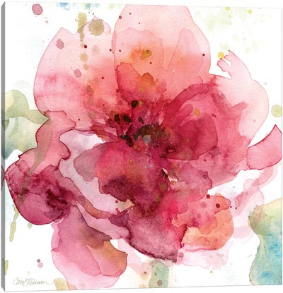 Bold Blush I Canvas Art Print - Flower Art