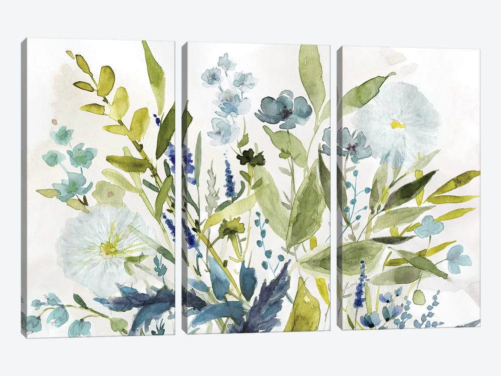 Olive Greens by Carol Robinson 3-piece Canvas Art
