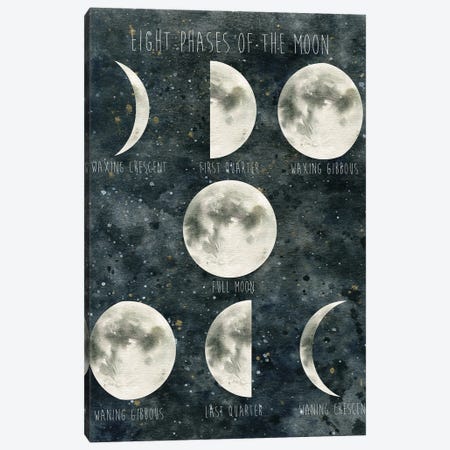 Phases of the Moon Canvas Print #CRO661} by Carol Robinson Canvas Art Print