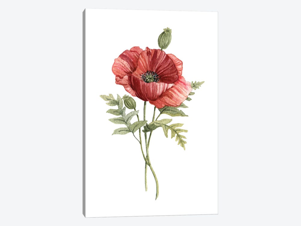 Scarlet Poppy 1-piece Canvas Art Print