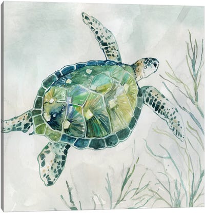 Seaglass Turtle I Canvas Art Print - Beach Décor
