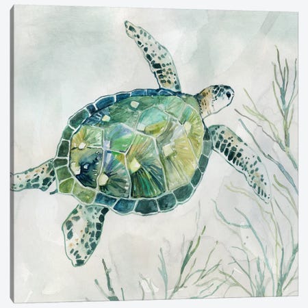 Seaglass Turtle I Canvas Print #CRO684} by Carol Robinson Canvas Artwork