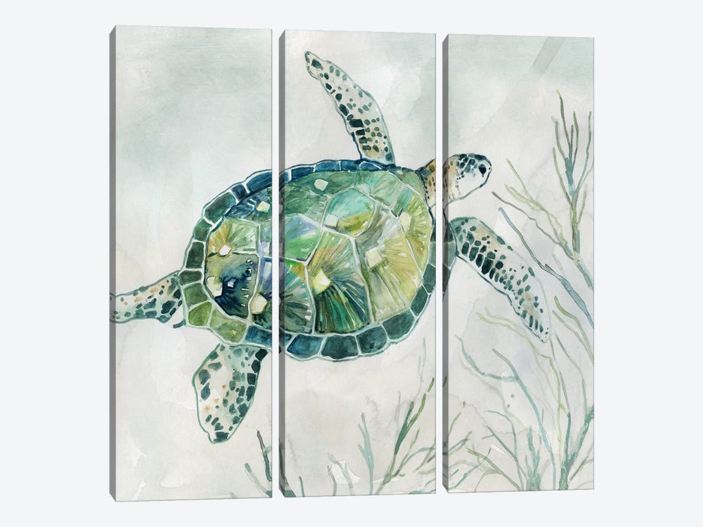 Seaglass Turtle I by Carol Robinson 3-piece Canvas Print