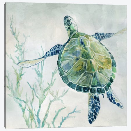 Seaglass Turtle II Canvas Print #CRO685} by Carol Robinson Canvas Wall Art