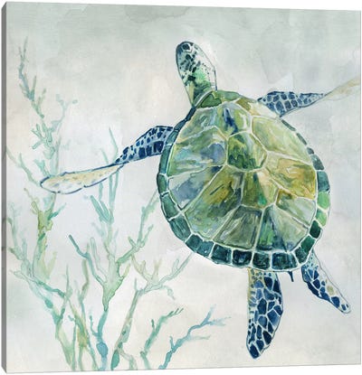 Seaglass Turtle II Canvas Art Print - Large Art for Bathroom
