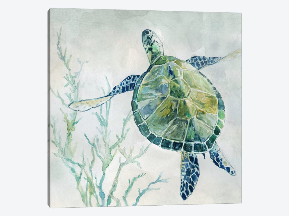 Seaglass Turtle II by Carol Robinson 1-piece Canvas Art