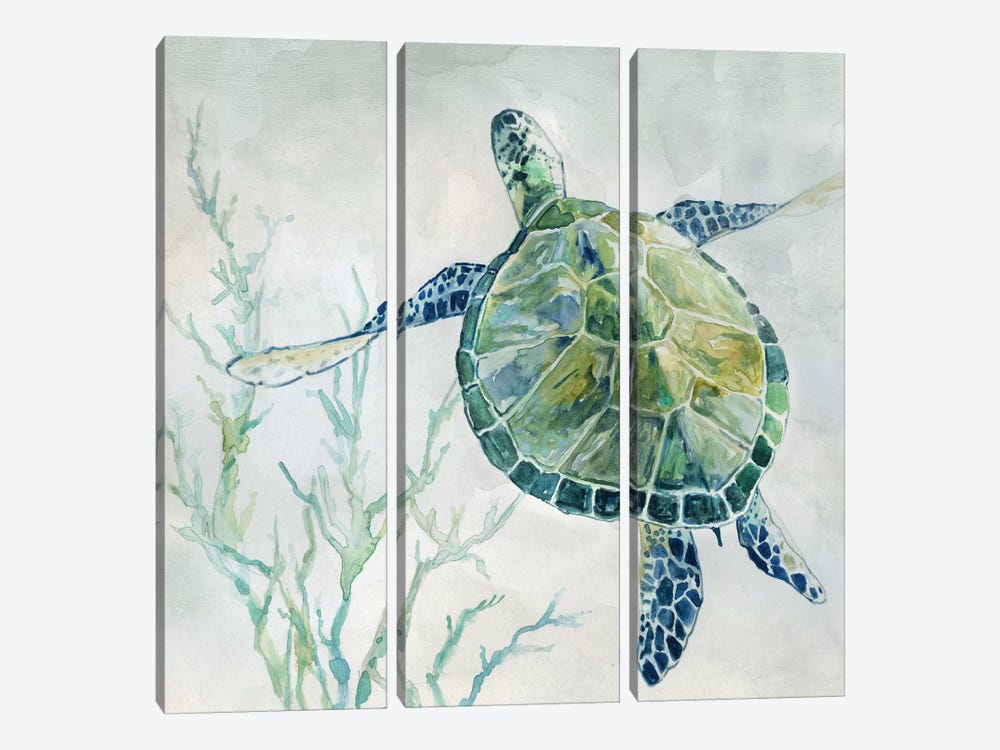 Seaglass Turtle II by Carol Robinson 3-piece Canvas Art