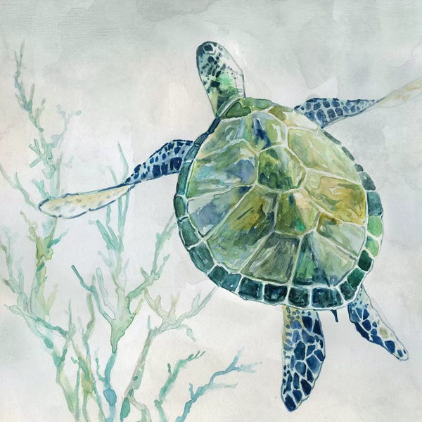 Reptiles & Amphibians: Seaglass Turtle II by Carol Robinson
