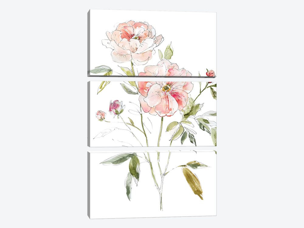 Sketchbook Cottage Rose I by Carol Robinson 3-piece Art Print