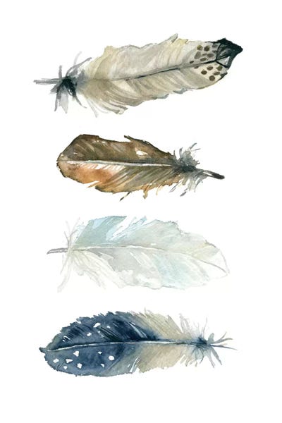 Feathers: Feather Collection I by Carol Robinson