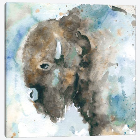 Buffalo On Blue Canvas Print #CRO6} by Carol Robinson Canvas Art Print