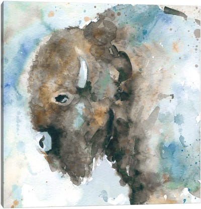 Buffalo On Blue Canvas Art Print - Bison & Buffalo Art