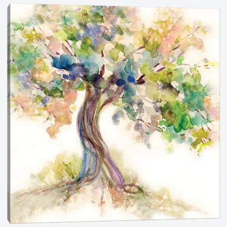 Tree of Life Canvas Print #CRO708} by Carol Robinson Canvas Wall Art