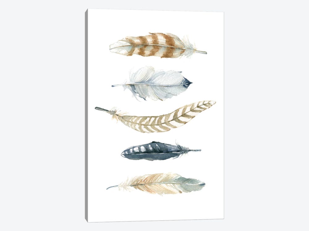 Feather Collection II by Carol Robinson 1-piece Canvas Wall Art