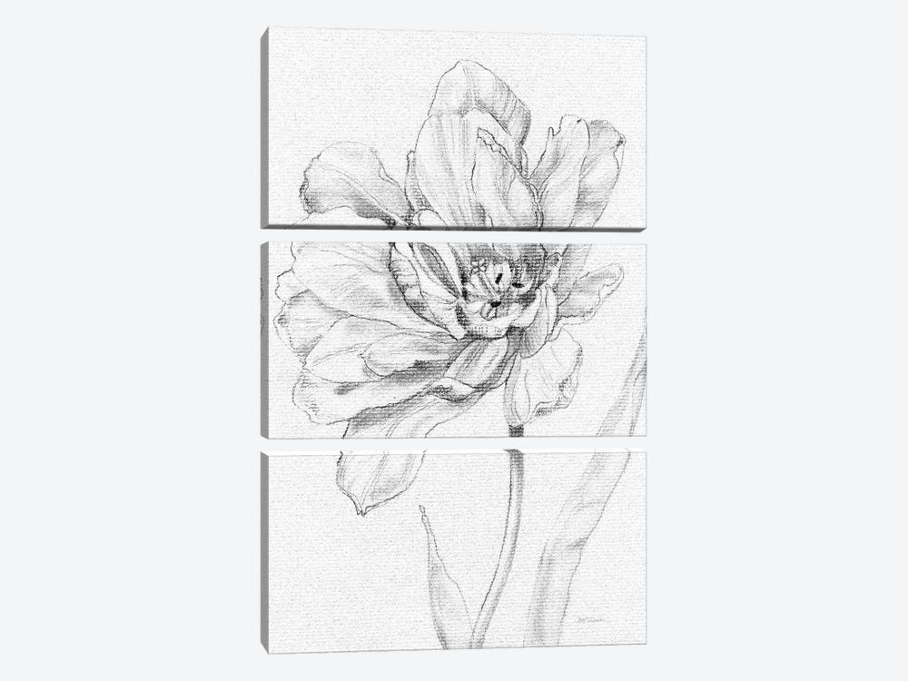 Tulip Sketch by Carol Robinson 3-piece Canvas Art Print
