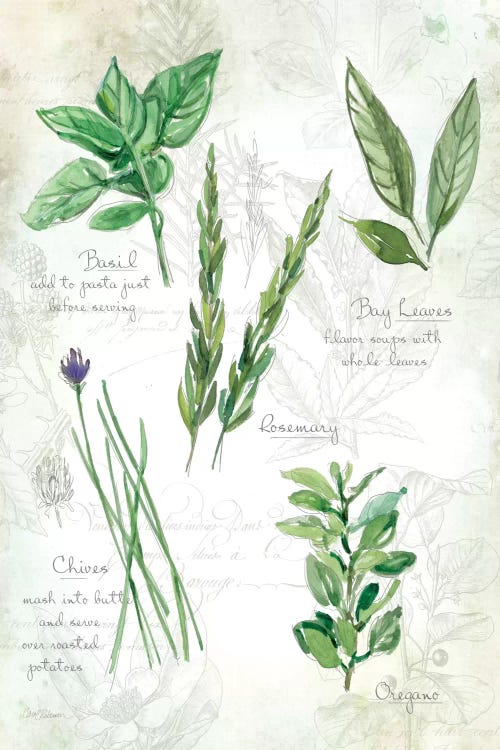 Fresh Herbs I