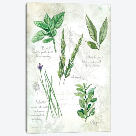 Fresh Herbs I Canvas Print #CRO71} by Carol Robinson Art Print