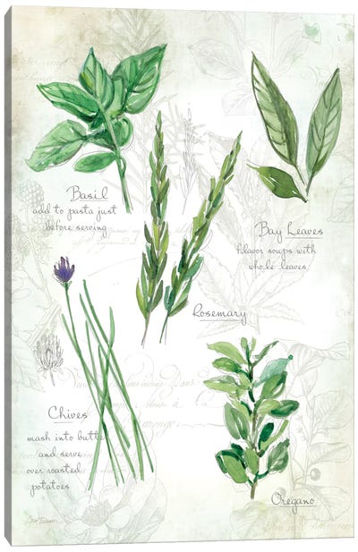 Fresh Herbs I Canvas Art Print - Gardening Art