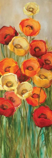 Poppies: A Touch of Sun I by Carol Robinson