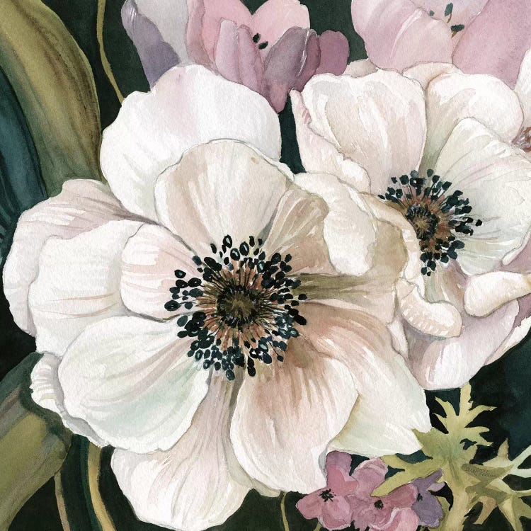 Anemone Study I