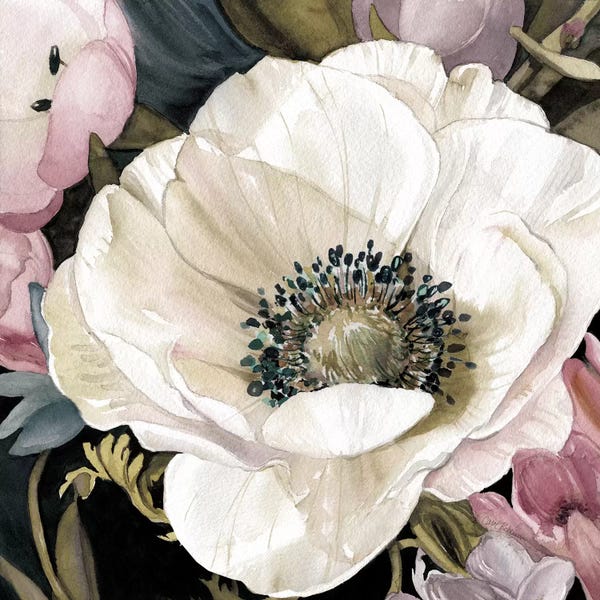Anemones: Anemone Study II by Carol Robinson