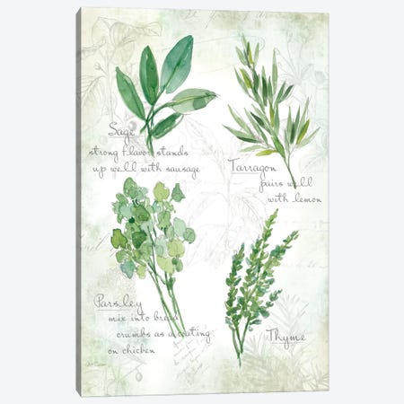 Fresh Herbs II Canvas Print #CRO72} by Carol Robinson Art Print