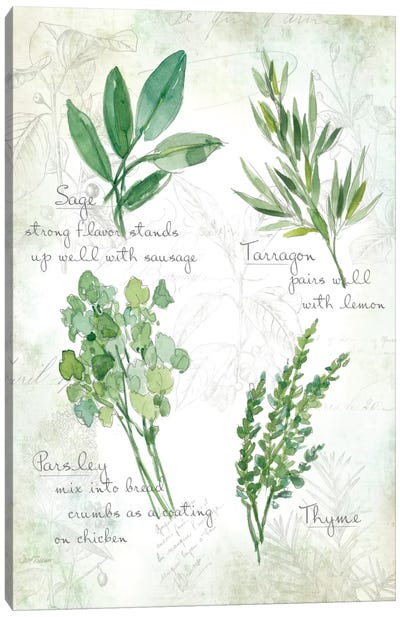 Fresh Herbs II Canvas Art Print - Plant Art