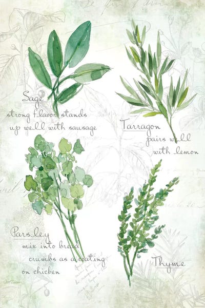 Kitchen: Fresh Herbs II by Carol Robinson