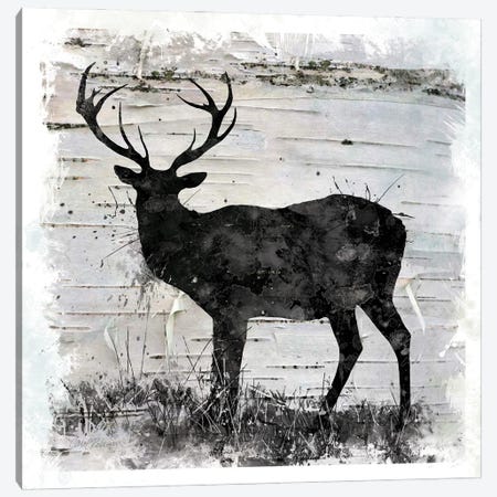 Birchbark Deer Canvas Print #CRO739} by Carol Robinson Canvas Art Print