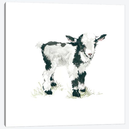 Goat Canvas Print #CRO73} by Carol Robinson Art Print